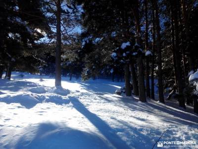 Ladera Mojonavalle-Bosques Canencia;viaje fin de año bosque irati pasear por madrid